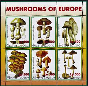 Mini Sheet, Various Mushrooms, Cinderellas,  , Mushrooms