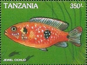 Stamp, Batfish, Tanzania,  , Animals (Fauna), Fishes, Sea Life