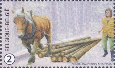 Horse Pulling Logs