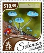 Stamp, Mycena interrupta, Coccinella magnifica, Solomon Islands,  , Animals (Fauna), Insects, Mushrooms