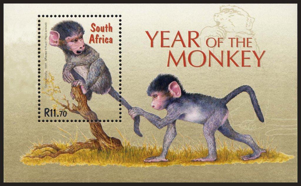 Year of the Monkey - Chacma Baboon ((Papio ursinus)