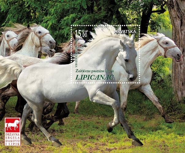 Lippizaner Horses