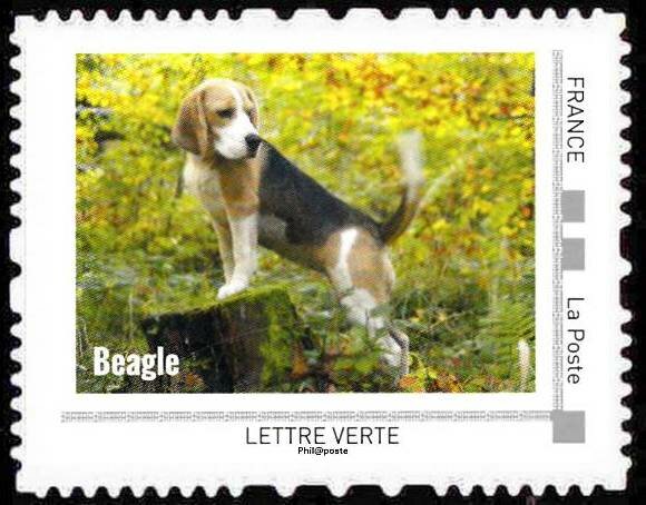 Beagle