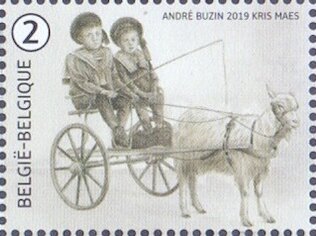 Goat Pulling Children in Cart