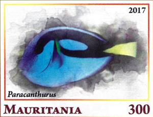 Stamp, Paracenthurus, Cinderellas,  , Animals (Fauna), Fishes