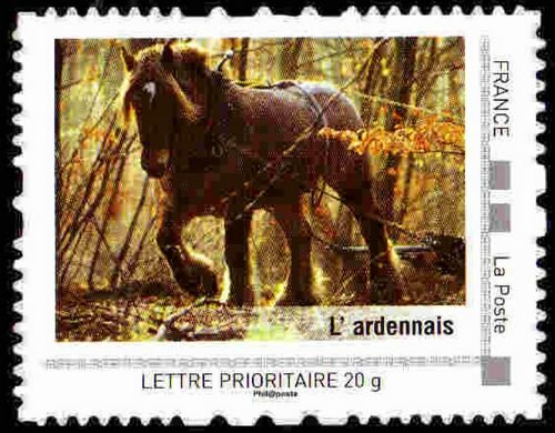 L' ardennais