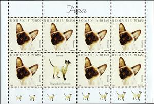 Mini Sheet, Siamese Cat (Felis silvestris catus) MS, Romania,  , Animals (Fauna), Cats, Mammals