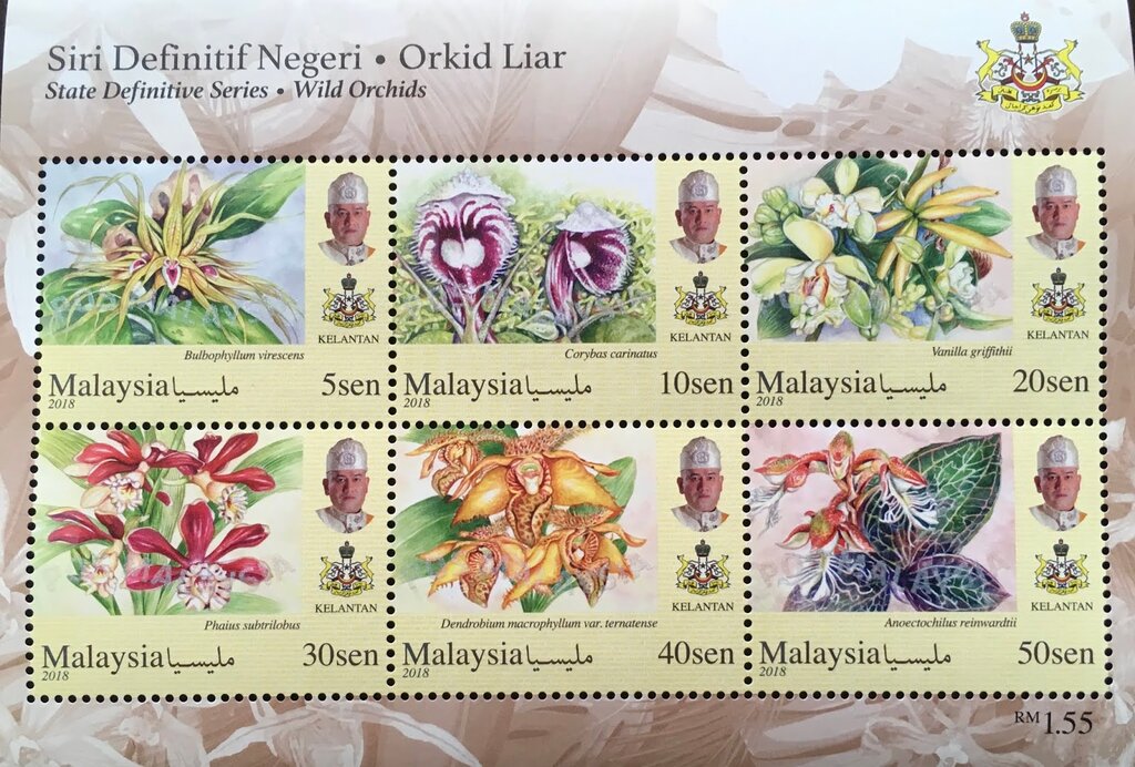 Orchids of Malaysia