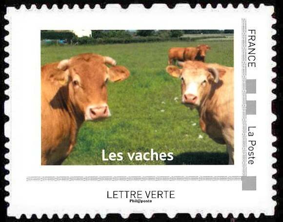 Les vaches