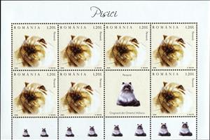 Mini Sheet, Persian Cat (Felis silvestris catus) MS, Romania,  , Animals (Fauna), Cats, Mammals