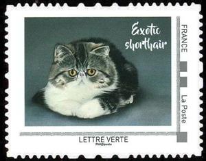 Stamp, Exotic Shorthair, France,  , Animals (Fauna), Cats, Mammals