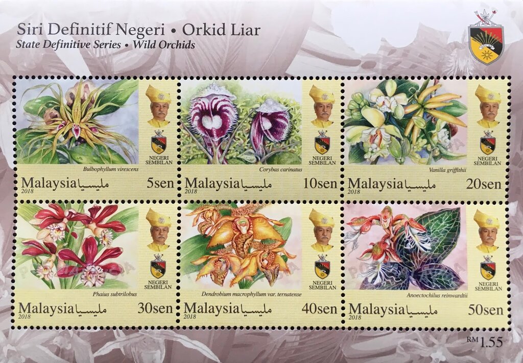Orchids of Malaysia