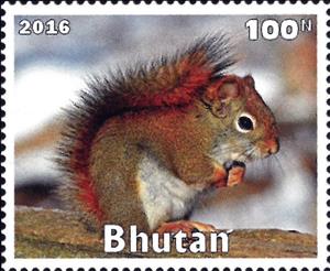 Stamp, Wild Animals, Cinderellas,  , Animals (Fauna), Mammals, Squirrels