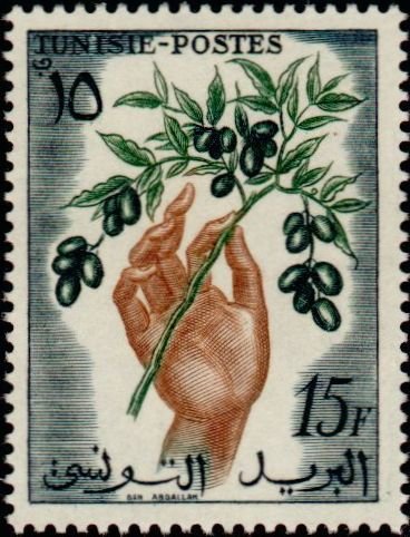 Olive branch