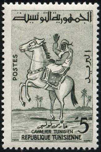 Rider