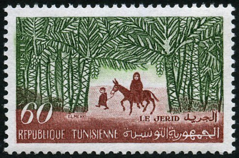 the Jerid