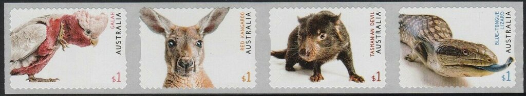 Australian Fauna Coil Strip