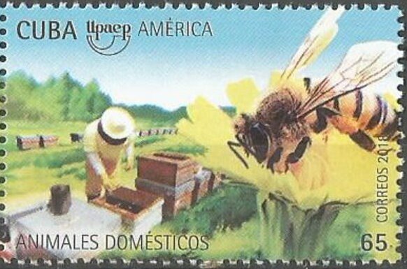 Honeybee