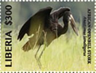 Stamp, African Openbill Stork, Liberia,  , Birds, Storks