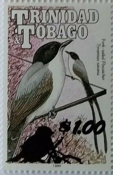 2019 Surcharge