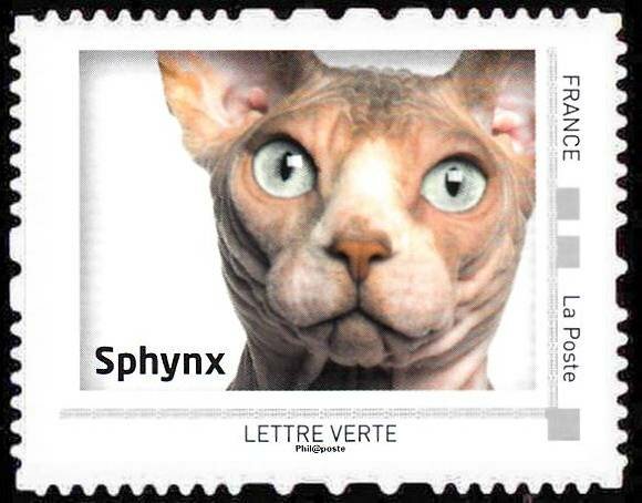Sphynx