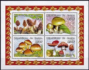 Mini Sheet, Various Mushrooms, Congo, Republic (Brazzaville),  , Mushrooms