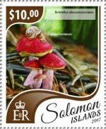 Stamp, Boletellus obscurecoccineus, Cepaea hortensis, Solomon Islands,  , Mushrooms