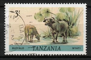 Stamp, African Buffalo (Syncerus caffer), Tanzania,  , Animals (Fauna), Buffaloes, Mammals
