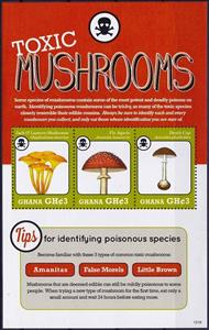 Mini Sheet, Various Mushrooms, Ghana,  , Mushrooms
