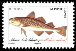 Stamp, Atlantic Cod, France,  , Animals (Fauna), Fishes, Sea Life