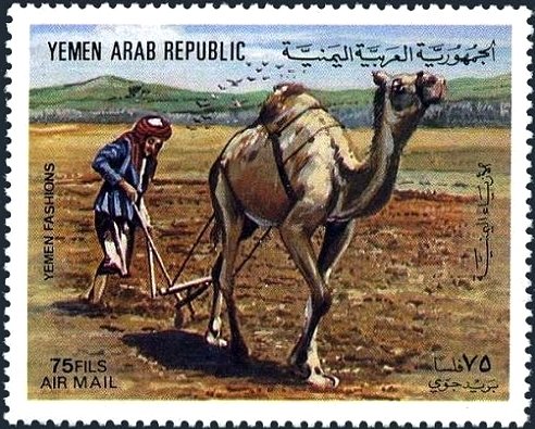 Plowing farmer