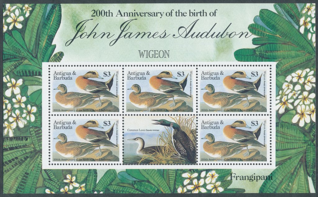 American Widgeon (Anas americana) souvenir sheet