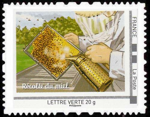 The bees that's life Recolte du Miel