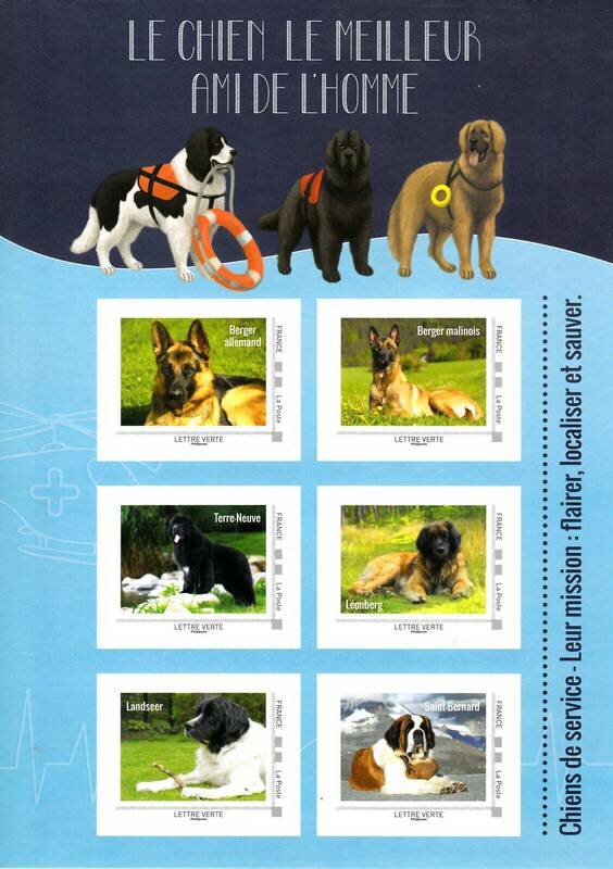 Companion Dogs