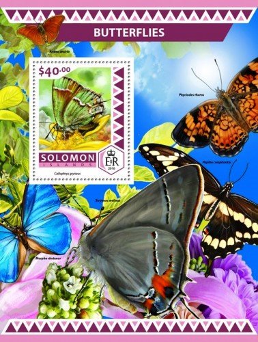 Callophrys gryneus