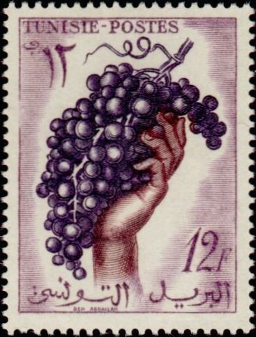 Bunch of grapes