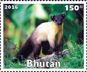 Stamp, Wild Animals, Cinderellas,  , Animals (Fauna), Mammals