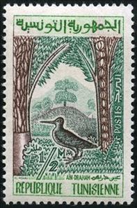 Stamp, Common snipe (Gallinago gallinago), Tunisia,  , Birds, Animals (Fauna)