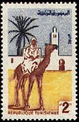 Dromedary (Camelus dromedarius), with Rider