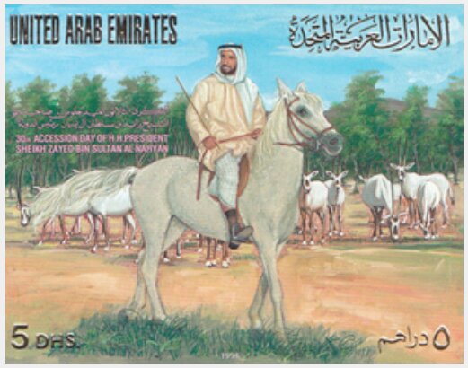 Accession to the throne of Abu Dhabi, 30th ann.