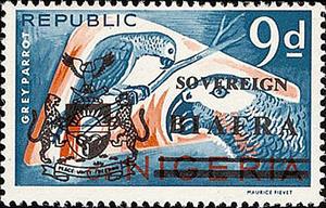 Stamp, Gray Parrot (Psittacus erithacus), Biafra,  , Birds, Parrots