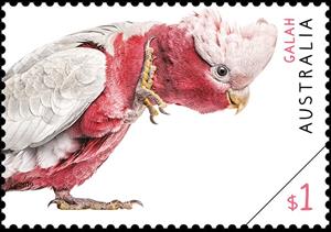 Stamp, Galah, Australia,  , Animals (Fauna), Birds, Parrots