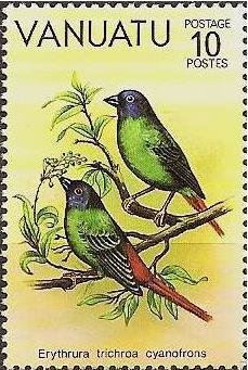 Stamp, Blue-faced Parrotfinch (Erythrura trichroa ssp. cyanofrons), Vanuatu,  , Birds, Animals (Fauna)