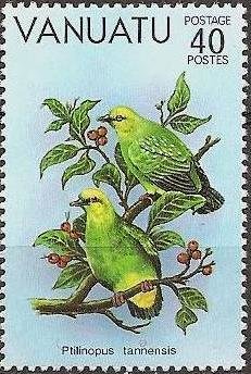 Shy Ground-dove (Gallicolumba stairi ssp. samoensis)