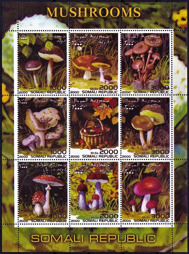 Various Mushrooms