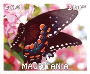 Stamp, Butterflies, Cinderellas,  , Animals (Fauna), Butterflies, Insects