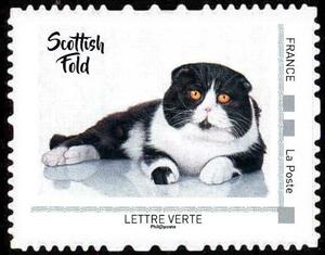 Stamp, Scottish Fold, France,  , Animals (Fauna), Cats, Mammals