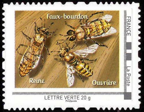The bees that's life Reine Ouvriere