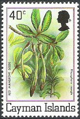 Stamp, Red Mangrove Seeds (Rhizophora mangle), Cayman Islands,  , Flowers, Plants (Flora)