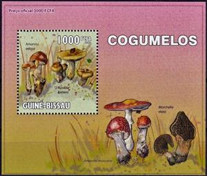 Mini Sheet, Amanita velata/Russala foetens, Cinderellas,  , Mushrooms